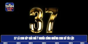 37 là con gì
