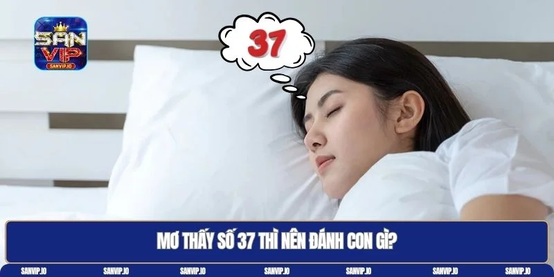 37 là con gì