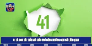 41 là con gì