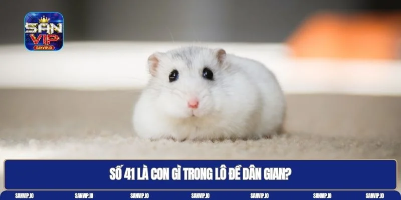 41 là con gì