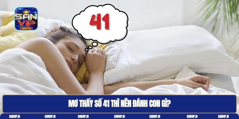 41 là con gì