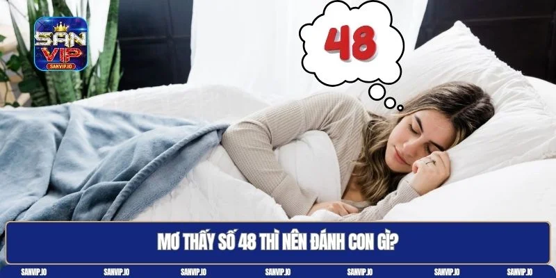 48 là con gì