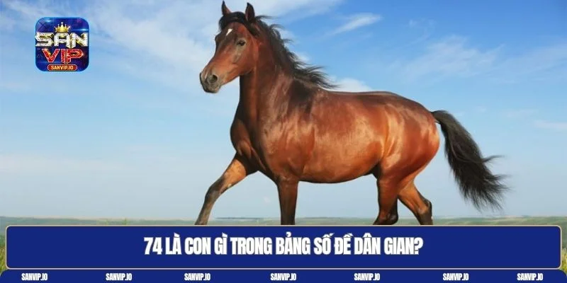 74 là con gì