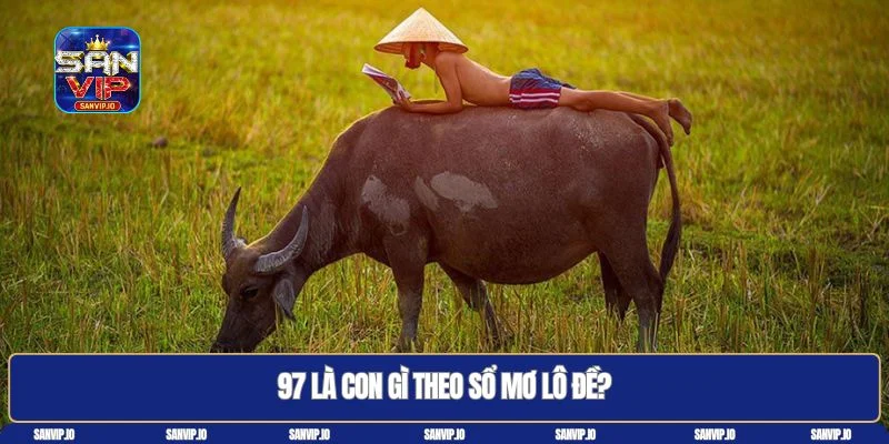 97 là con gì