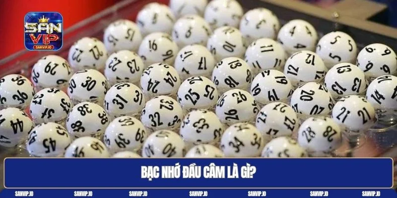 Bạc nhớ đầu câm