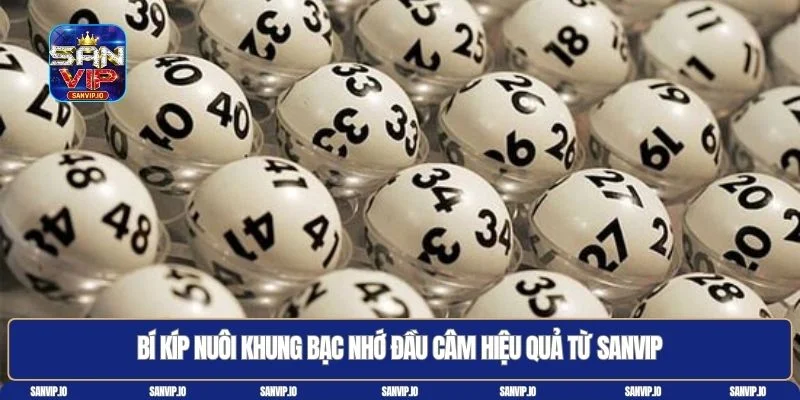 Bạc nhớ đầu câm