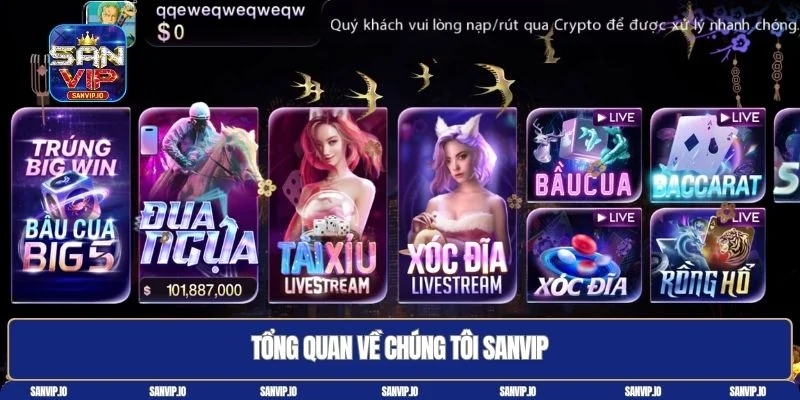 Về chúng tôi Sanvip